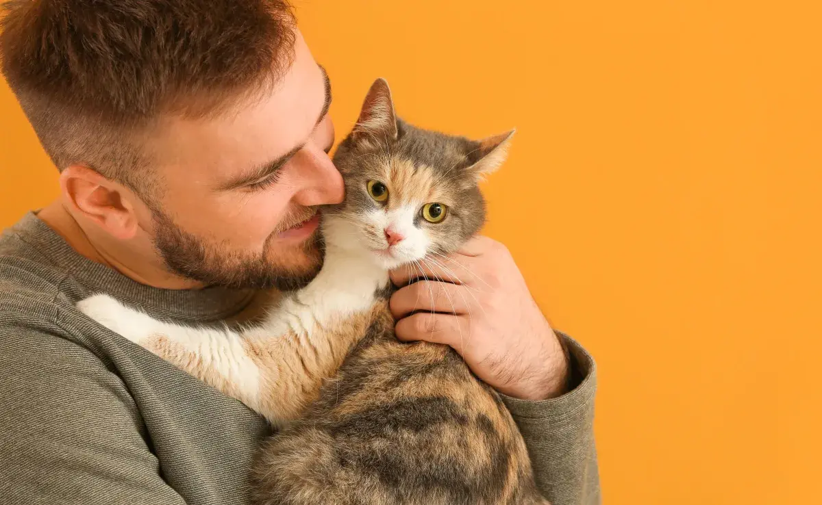 Según su testimonio, las caricias, el tiempo de juego y los mimos que su esposo le daba a la gatita eran exagerados.