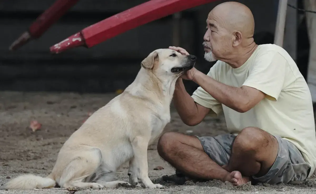 Adoptar a un perro conlleva muchas responsabilidades, como darle de comer de forma adecuada.