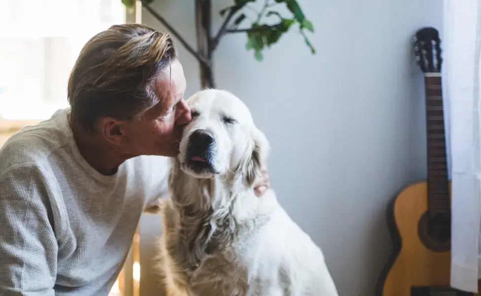 Amor de perro: aprende a demostrar el amor por tu perro 
