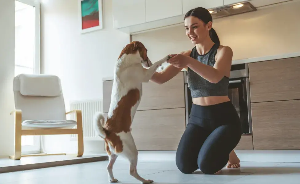 tutora brincando com o cão