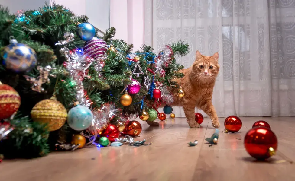 arvore de natal caída ao lado de gato