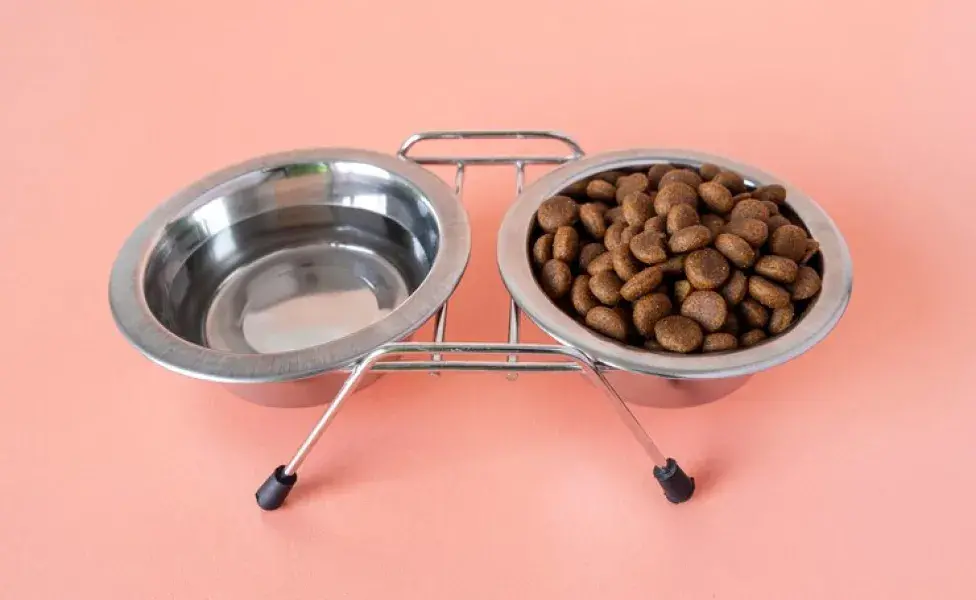 Cómo hacer un soporte elevado para los platos de tus mascotas