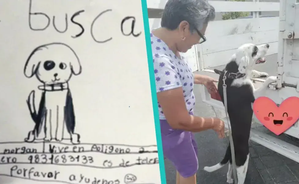 Abuelita recupera a su perro gracias a un dibujo hecho por su nieta