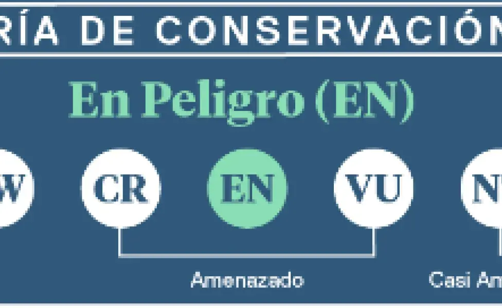 Categoría de conservación