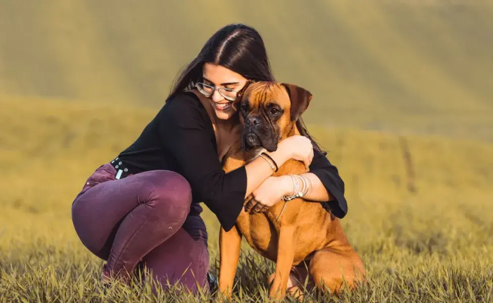 5 razas de perros bravos que en realidad no lo son