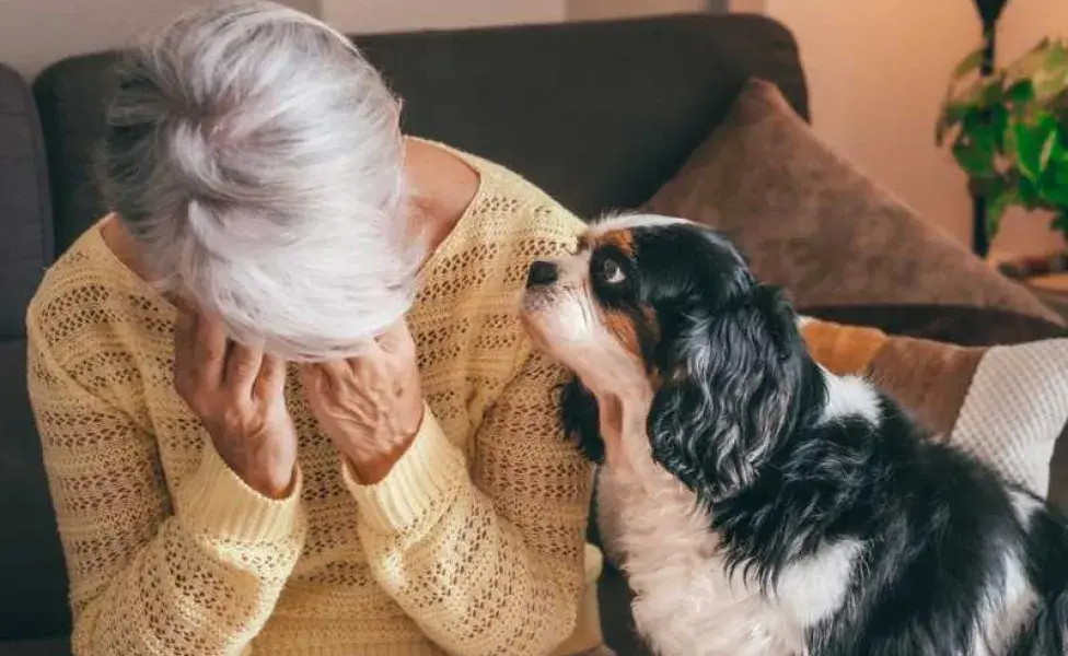 perro junto con su dueña llorando. Foto: Envato/lucigerma