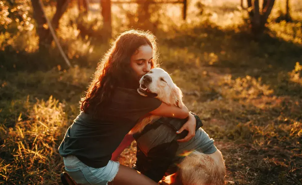 Si el perro evita hacer contacto visual, no te acerques a él. 