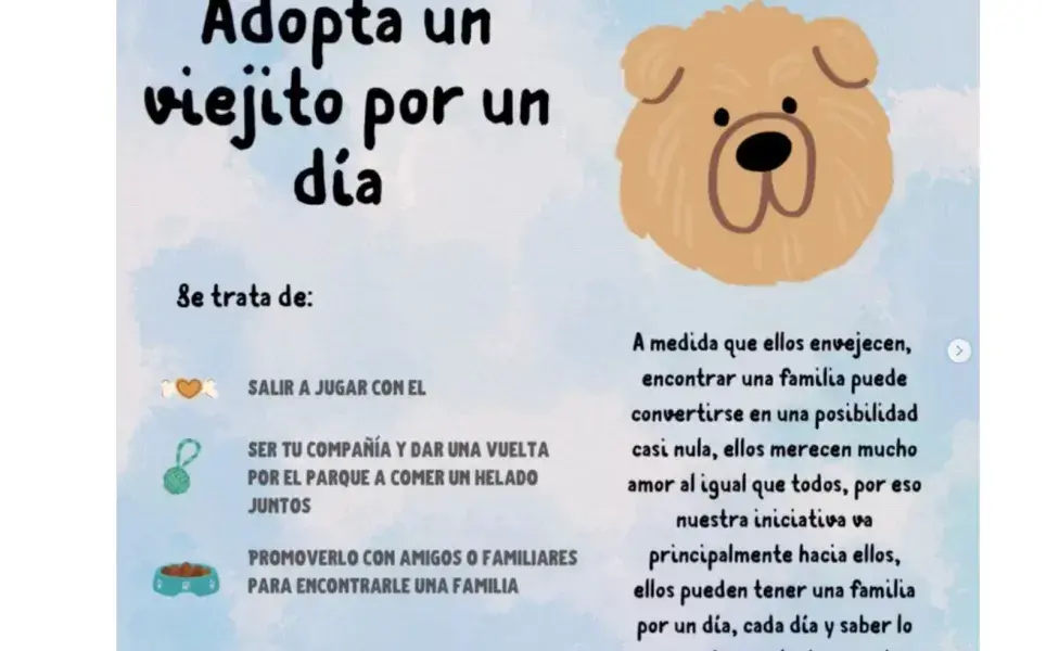 Adopta un perro por un día es para perros adultos.