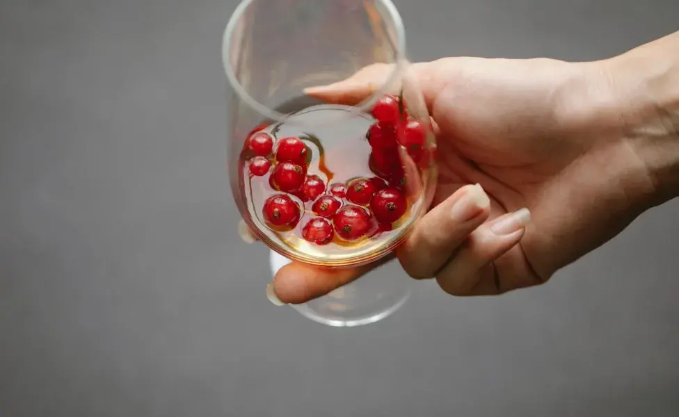 Incluso en porciones pequeñas, el alcohol es ultra dañino para los perros.