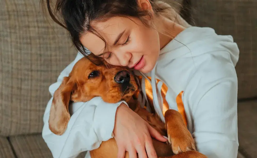 Los ejercicios mentales reducen el estrés en perros y gatos.