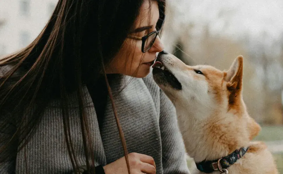 El corazón del perro late más rápido con un te amo de su dueño.