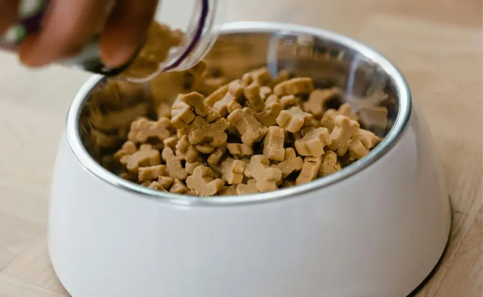 La comida natural de perro ayuda a controlar el peso.