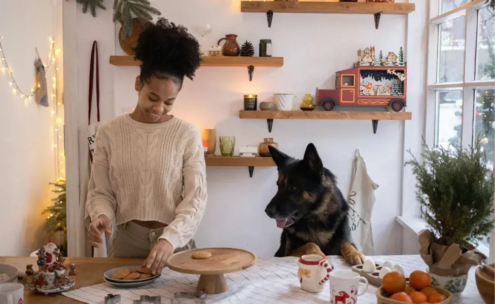 Recuerda que hay alimentos que le pueden caer mal a tu perro. 