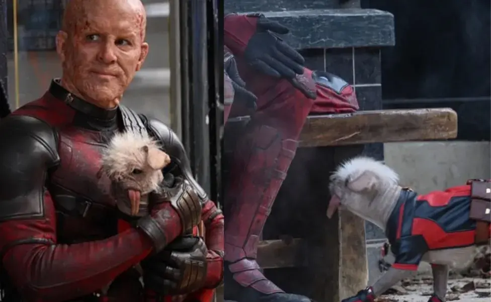 Dogpool es el perro de Dead Pool y es un Pug.