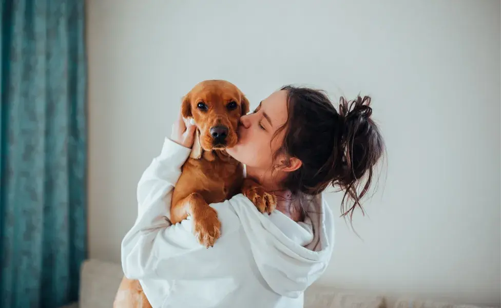 Cuando usas un tono cálido y exagerado con tu cachorro, también estás reforzando el vínculo emocional que tienes con él. 