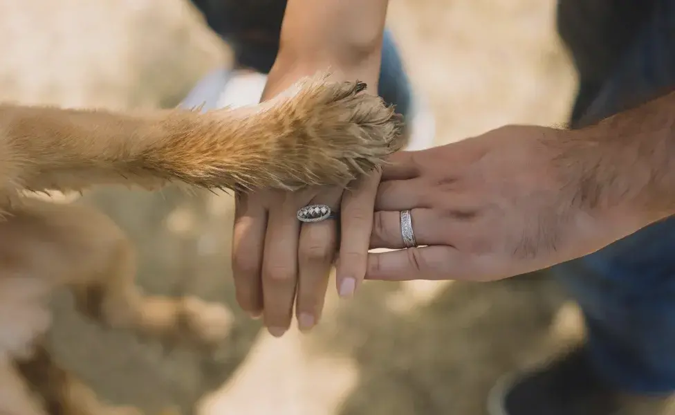 Una pareja con la pata del perro. Foto: Pexels/Anastasiya Lobanovskaya