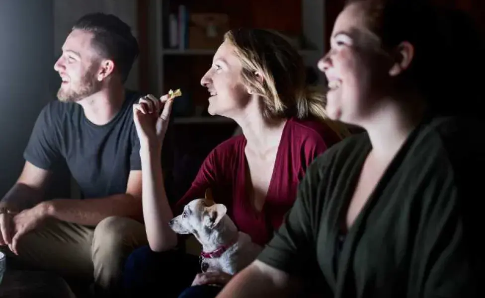 perro viendo la tele con su familia. Foto: Envato/ joshua_resnick