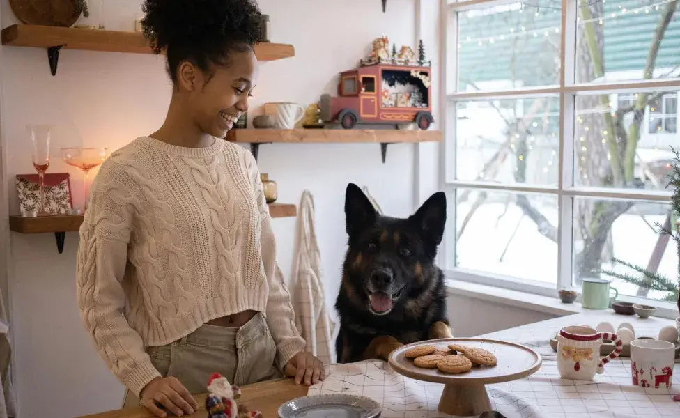 Recuerda que a un perro hay que introducir los nuevos alimentos poco a poco 