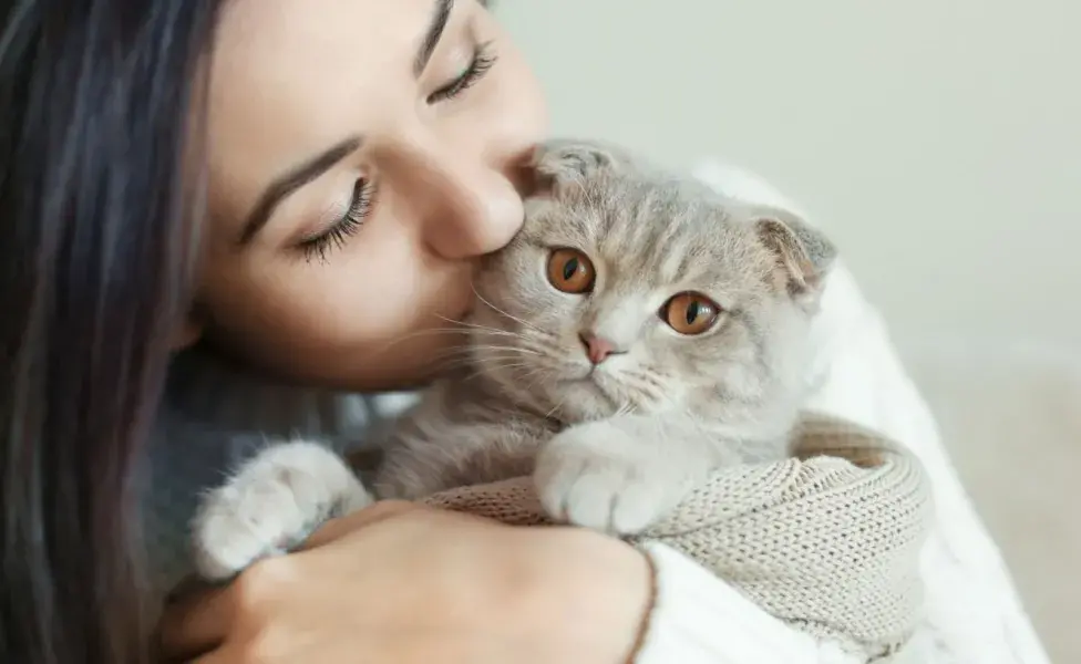 Los gatos pueden mostrar un apego significativo hacia las personas con las que viven.