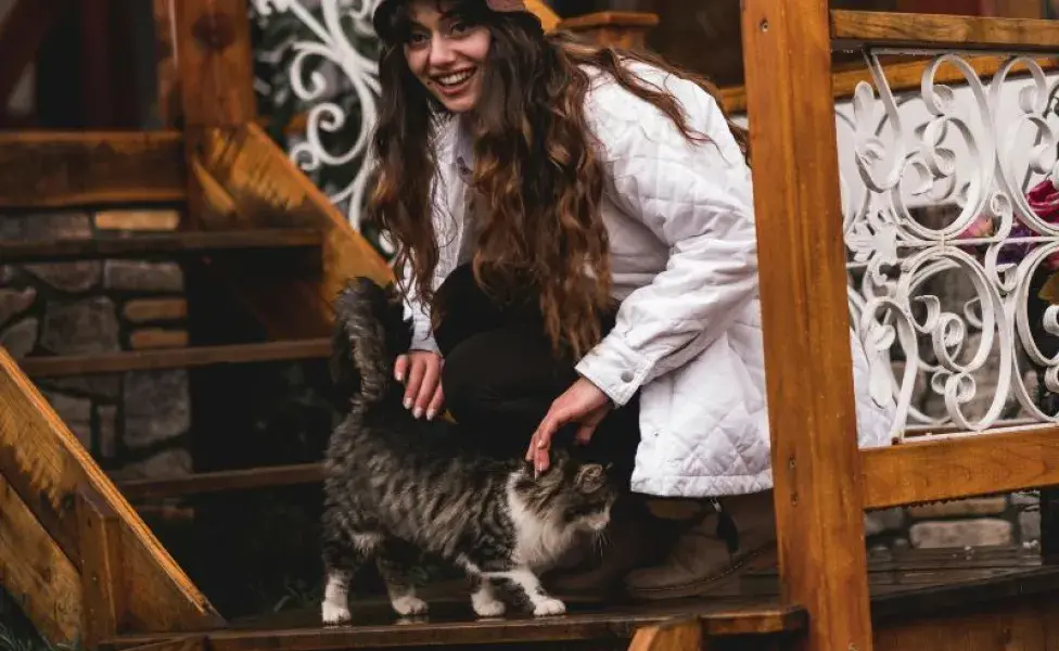 Mujer tocando la espalda de un gato. Foto: Pexels/Samet Korkmaz