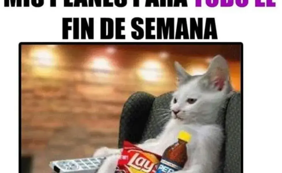 Un meme popular muestra a un gato disfrutando del fin de semana.