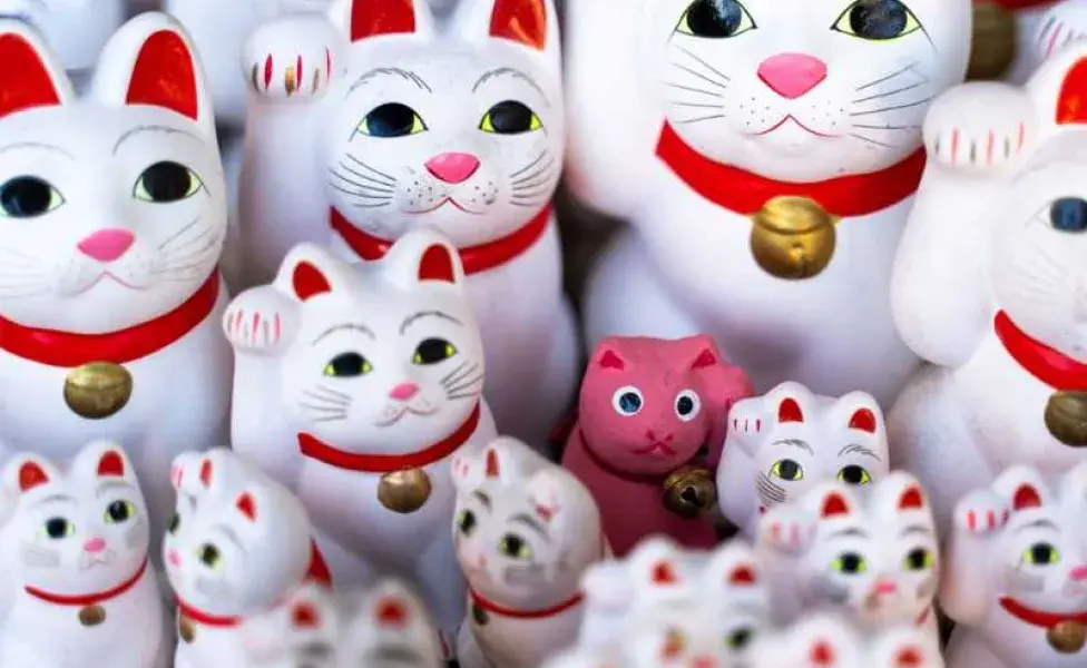 Gato tradicional japones. Foto: Envato/wirestock