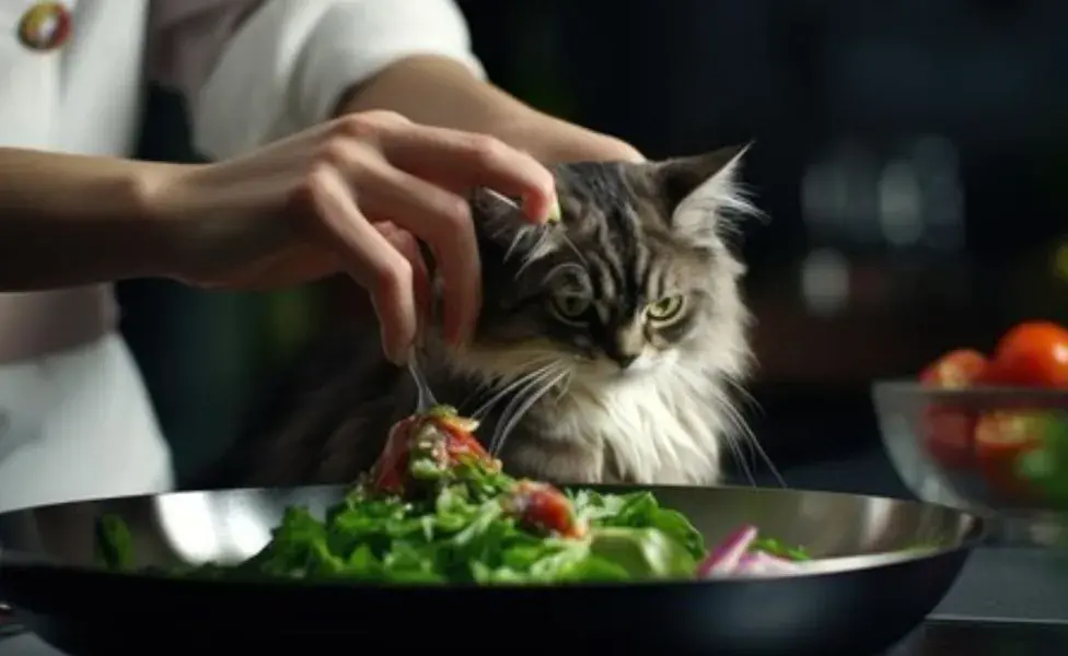 Es fundamental recordar que no todas las frutas son seguras para los gatos.