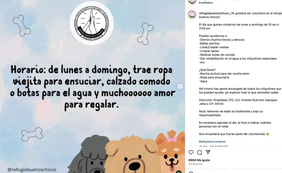 Para esta iniciativa no necesitas adoptar de forma permanente.