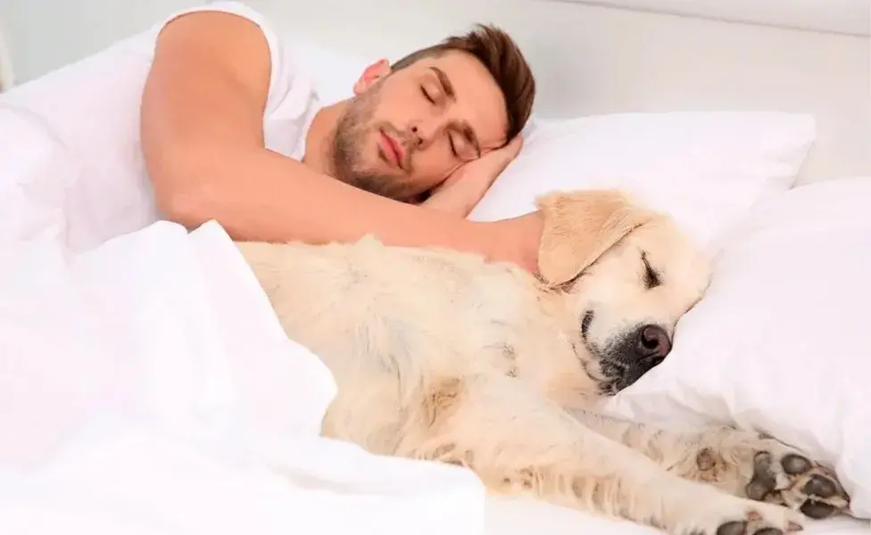 hombre-durmiendo-con-su-perro