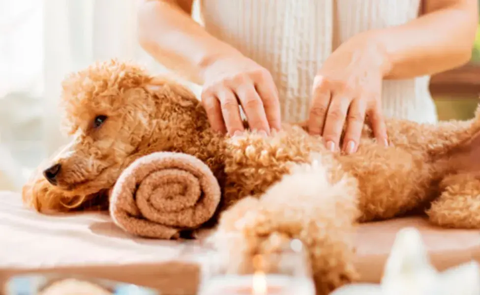 El baño es el primer paso para un día de spa perfecto. 