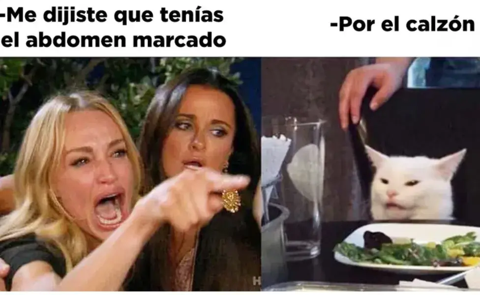 El famoso meme de la mujer que le reclama a un gato se hizo viral en 2019