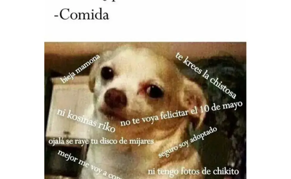 Meme de perrito enojado con mamá.