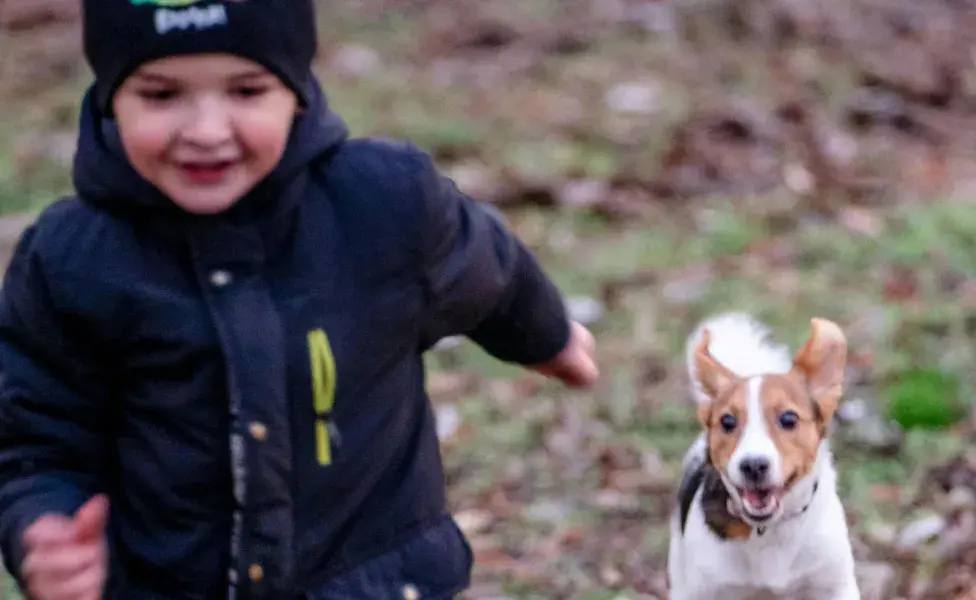 La falta de convivencia con niños puede detonar que los perros le teman a los niños.