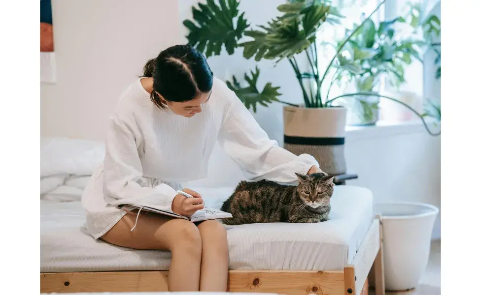 Mujer acariciando a un gato acostado. Foto:Pexels/Sasha Kim