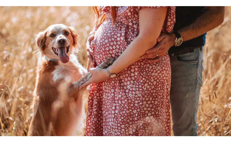 Mujer embarazada con un perro tocándola. Foto: Pexels/ Photographer Liam Gillan