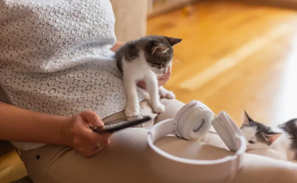 Es importante evitar música con ritmos rápidos