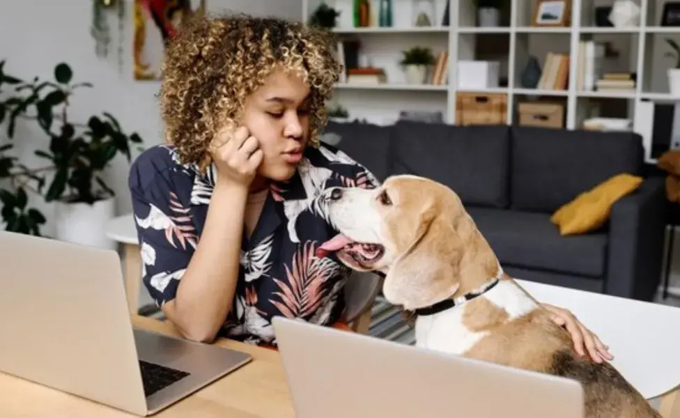 Este hallazgo tiene importantes implicaciones para la relación entre humanos y perros. 