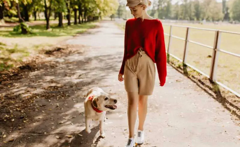 mujer paseando a su perro en el parque. Foto: Envato/look_studio