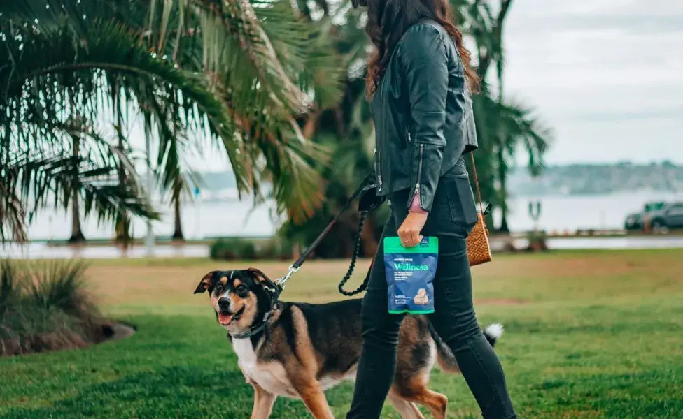 El ejercicio regular derivado de las caminatas con el perro ayuda a mantener un peso saludable