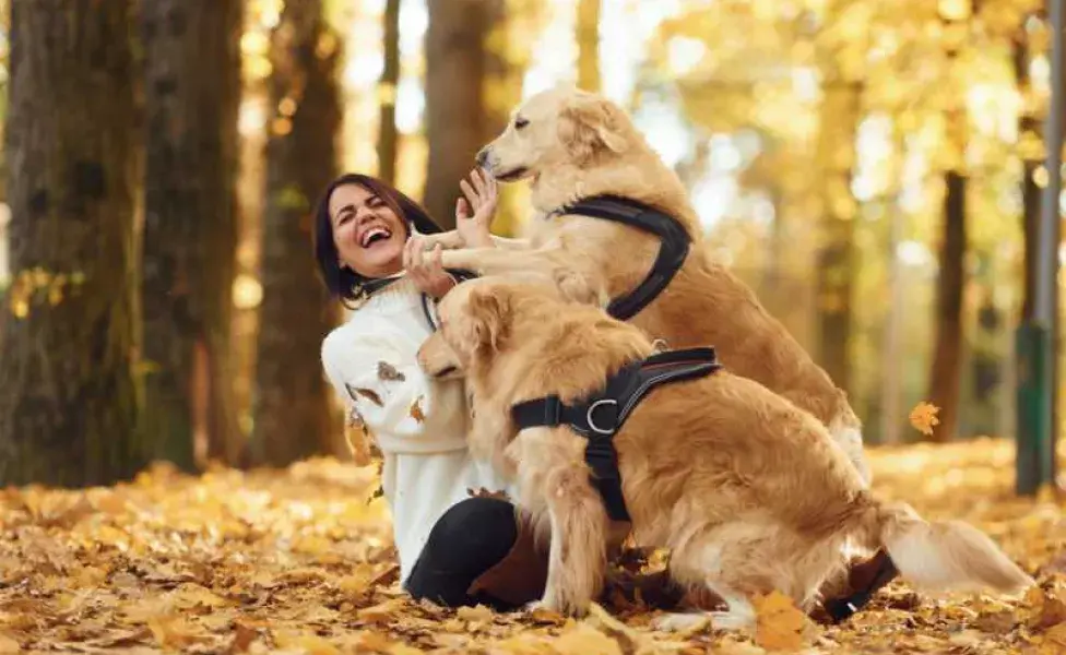 mujer paseando con sus dos perros. Foto: Envato/mstandret