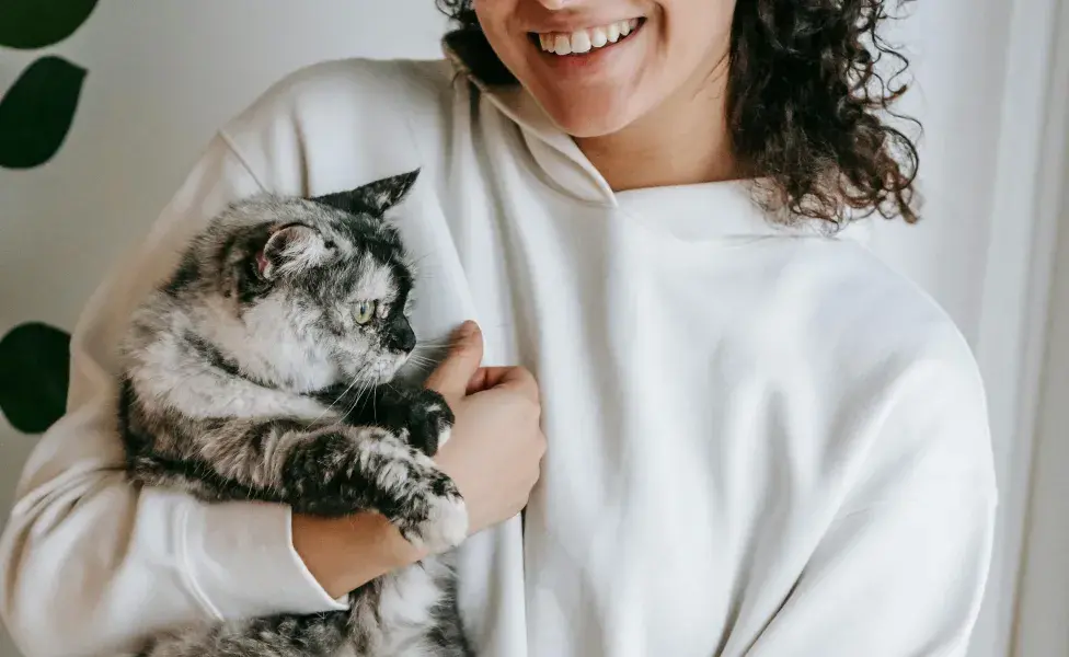 Mujer cargando a un gato gris con blanco. Foto: Pexels/Sam Lion