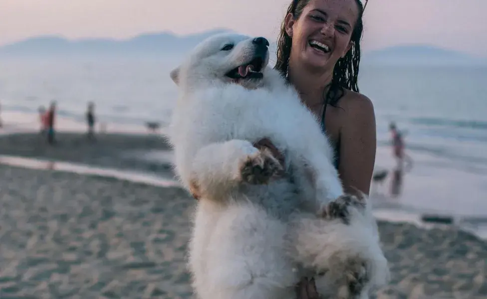 Un perro le da independencia a una mujer.