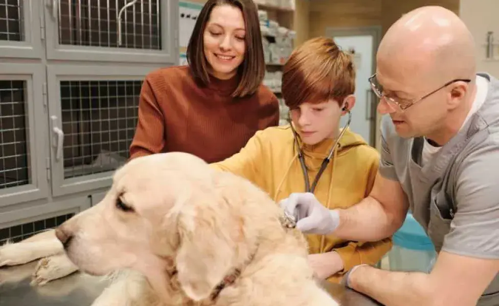 niño en el veterinario con su perro de terapia asistida. Foto: Envato/Pressmaster