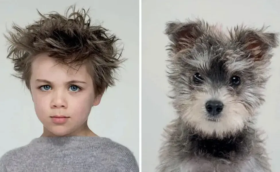  los perros tienden a adaptarse a las emociones y temperamentos de sus propietarios