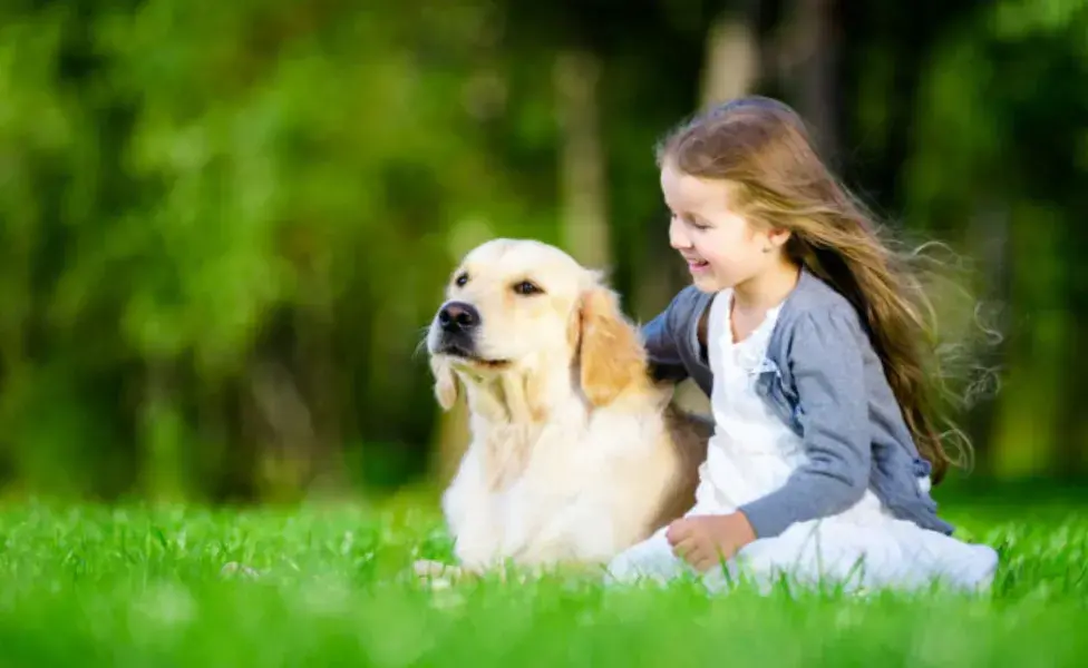 un perro puede aprender a asociar una acción con una recompensa