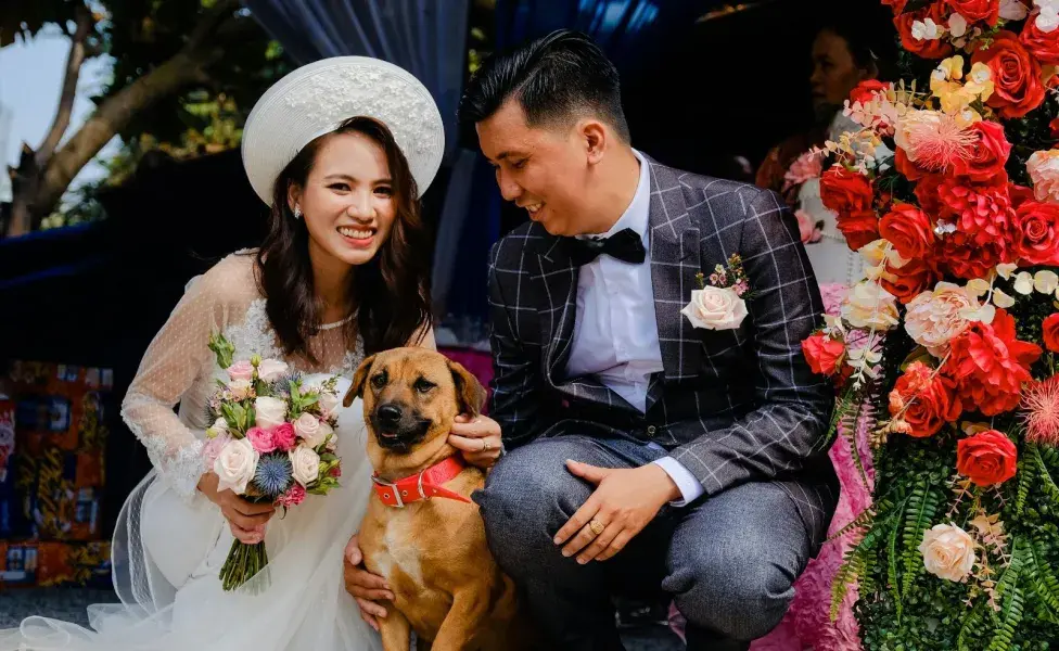 Los perros no firman ningún papel en las bodas.