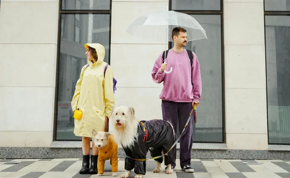 Una pareja con perros bajo el agua. Foto: Pexels/Yaroslav Shuraev