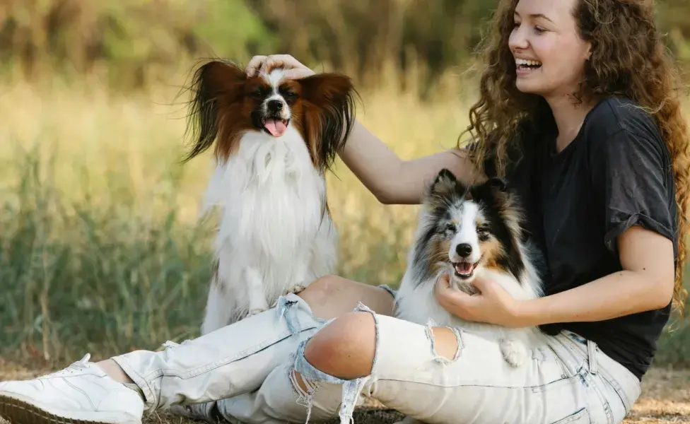 Los perros son más evidentes al mostrar amor.