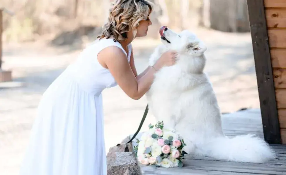 perro blanco con su dueña. Foto: Envato/karmanovalive