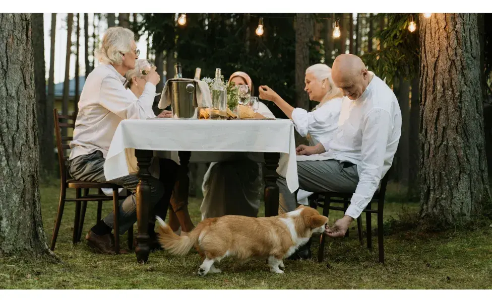 Perro en el bosque comiendo. Foto: Pexels/cottonbro studio